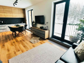 Apartmán Dole v Dole, Černý Důl